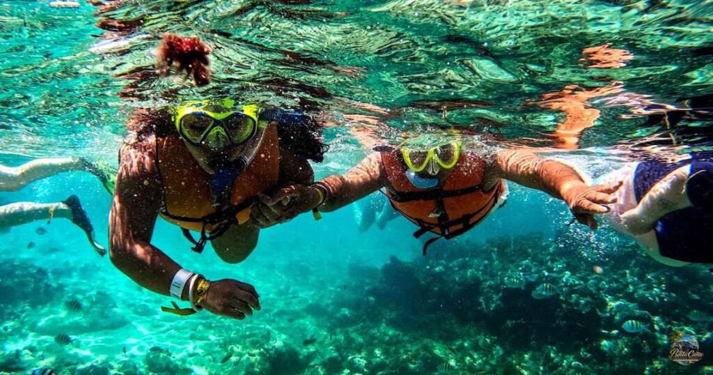 Cayo Arena