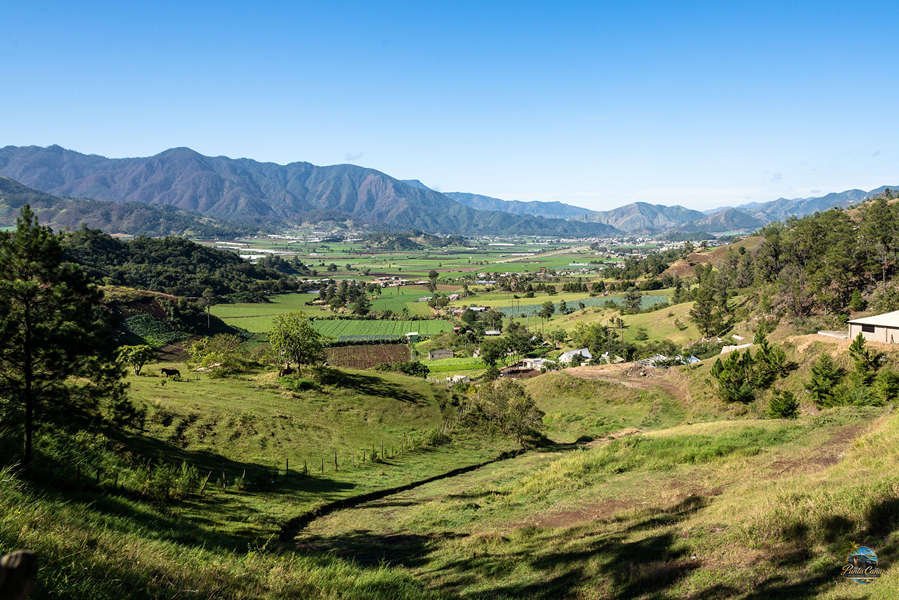 Constanza