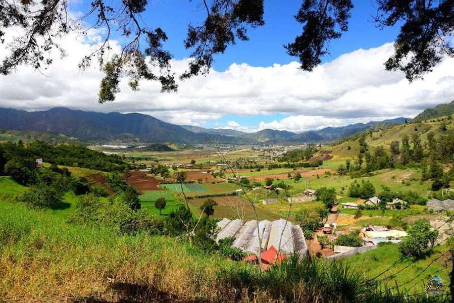 Constanza