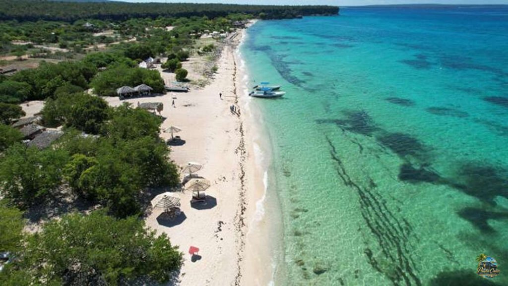 Pedernales