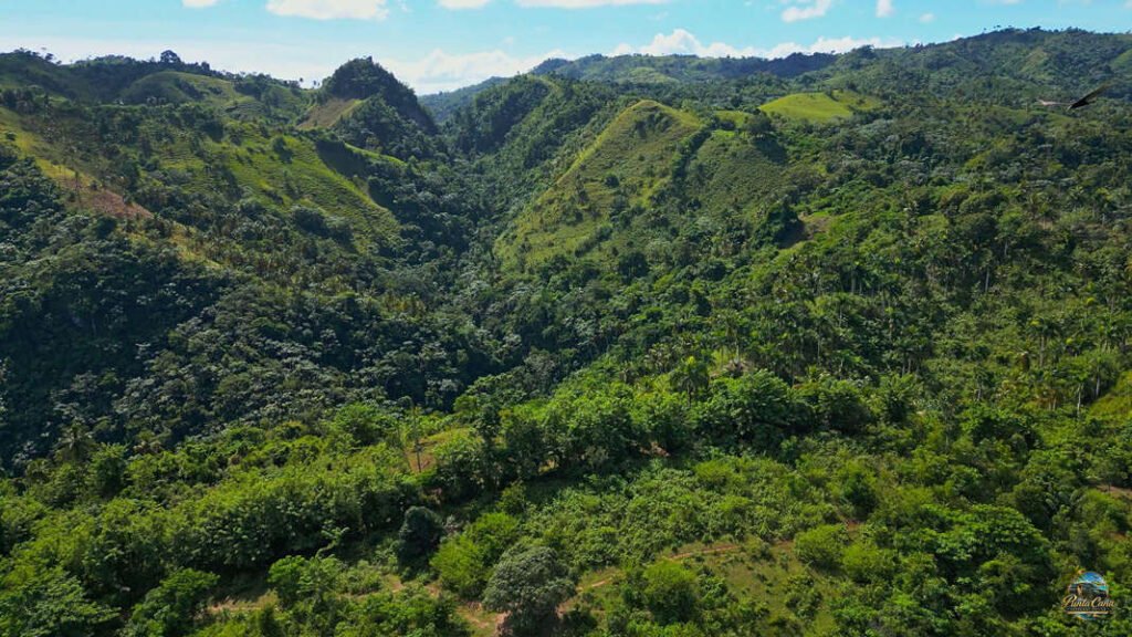 Samaná