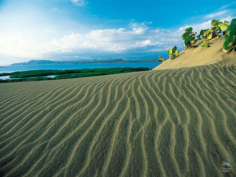 Dunes of Baní